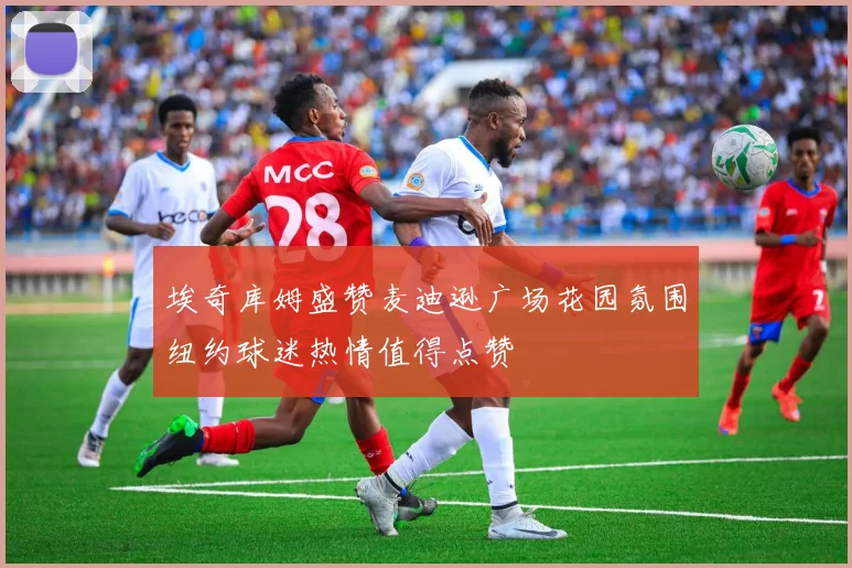 埃奇库姆盛赞麦迪逊广场花园氛围纽约球迷热情值得点赞