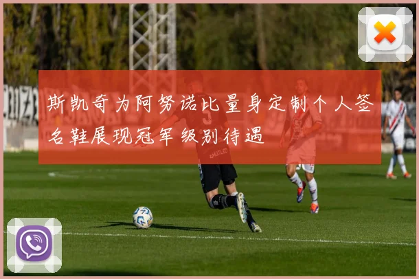 斯凯奇为阿努诺比量身定制个人签名鞋展现冠军级别待遇